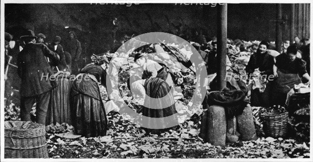 Sorting a dust heap at a County Council Depot, London, c1850 (1903). Artist: Unknown.