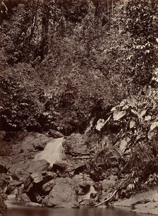 Tropical Scenery, Cascade, Limon River, 1871. Creator: John Moran.