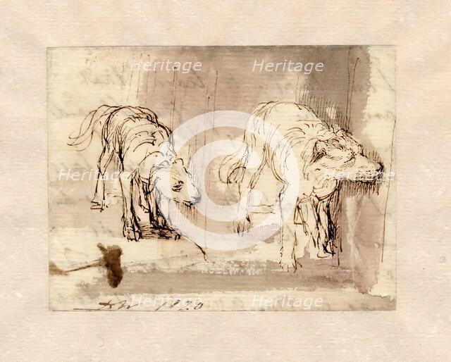 Study of Dogs, 1820. Creator: David Wilkie.