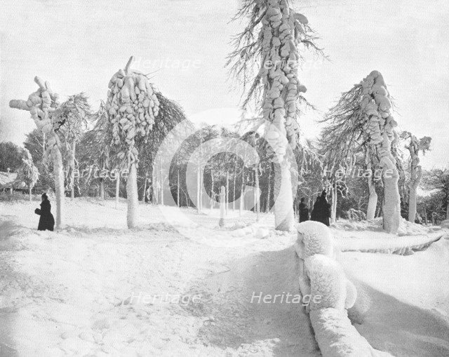Frost Work in Prospect Park, Niagara, USA, c1900.  Creator: Unknown.