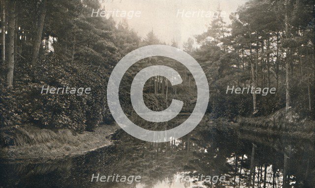 'Branksome Chine and Lake', c1910. Artist: Unknown.
