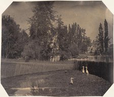 [Heron Pond, Zoological Gardens, Brussels], 1854-56. Creator: Louis-Pierre-Théophile Dubois de Nehaut.