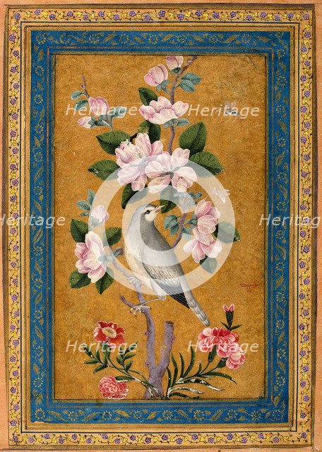 Bird Perching on a Blossoming Branch, 1696.  Creator: Yusuf Zaman (17th century).