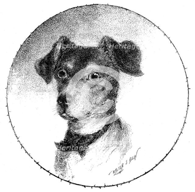 The Lady’s Pet, but the Burglar’s Dread, 1890. Creator: Unknown.