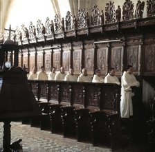 Monastery of Santa María de la Huerta, church, detail of the carved choir in walnut wood.