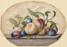 Fruit Arrangement: Peaches and Plumbs on a Slab of Marble, 1742. Creator: Georg Dionysius Ehret (German, 1708-1770).