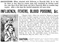 Advertisement for Eno’s Fruit Salt and Eno’s Vegetable Moto, 1890. Creator: Unknown.