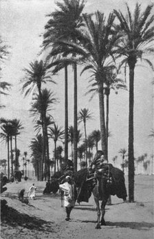 ''Types d'Arabes de la Tripolitaine; Le Nord-Est Africain', 1914. Creator: Unknown.