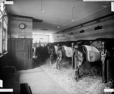 Stables in North Audley Street, Westminster, London, 1890. Artist: Bedford Lemere and Company
