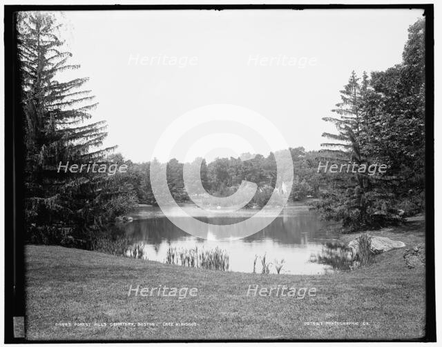 Forest Hills Cemetery, Boston, Lake Hibiscus, between 1890 and 1901. Creator: Unknown.