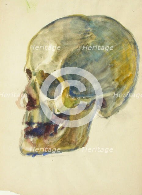 Skull, c1910s. Creator: Verner Thome.