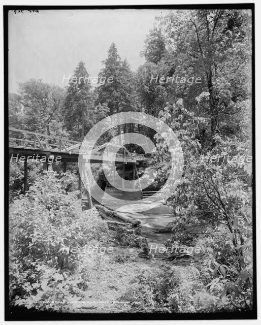 Bridge over the Whitewater, Sapphire, N.C., (1902?). Creator: William H. Jackson.