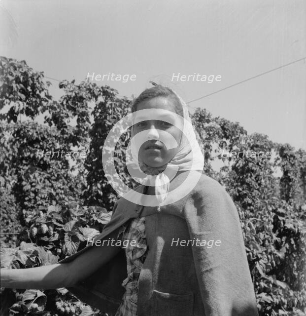 Head of young woman, migratory hop picker, near Independence, Polk County, Oregon, 1939. Creator: Dorothea Lange.