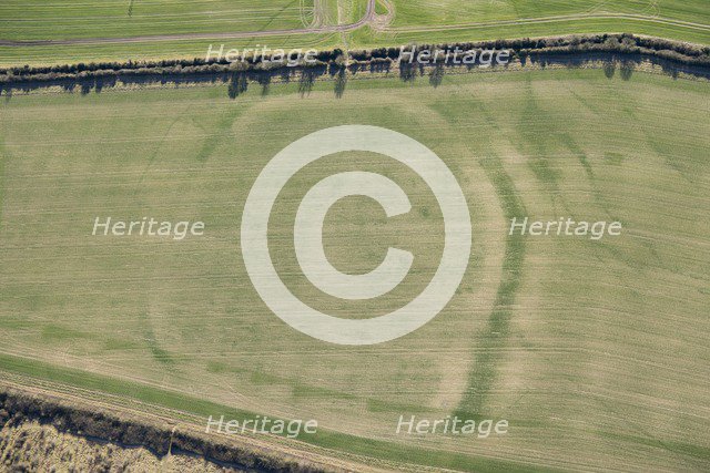 Woodbury Iron Age univallate hillfort crop mark, Salisbury, Wiltshire, 2018. Creator: Historic England Staff Photographer.