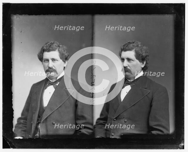 Mark Spencer Brewer of Michigan, 1865-1880.  Creator: Unknown.