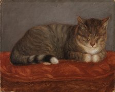 Lying cat, Mosse, 1872-1873. Creator: Maria Wiik.