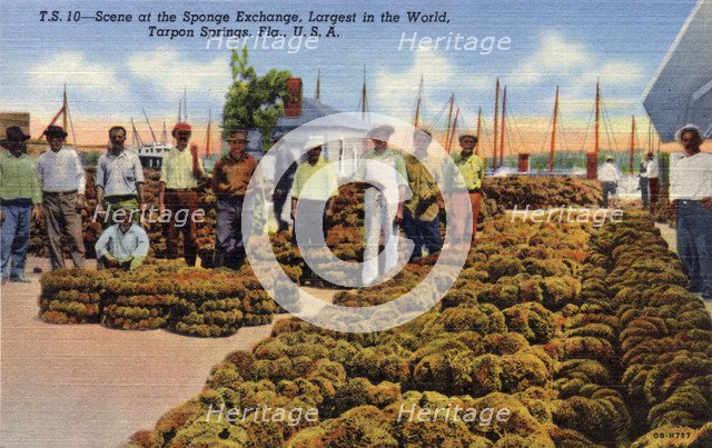Scene at the sponge exchange, Tarpon Springs, Florida, USA, 1940. Artist: Unknown