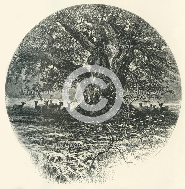 'The "King of the Border".', c1870.