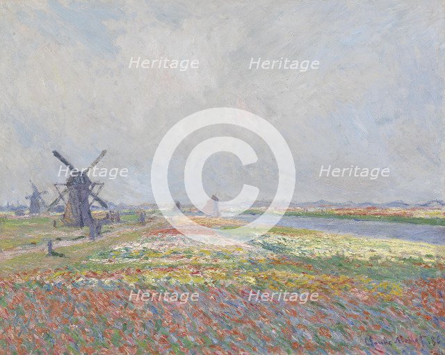 Tulip fields near The Hague.