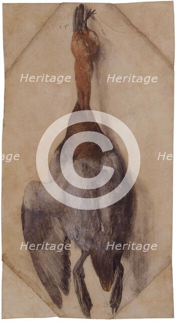 Dead Duck, ca 1502 (or ca 1512). Creator: Dürer, Albrecht (1471-1528).