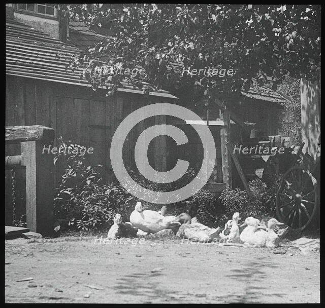 Gutach, 1894. Creator: Alfred Stieglitz.