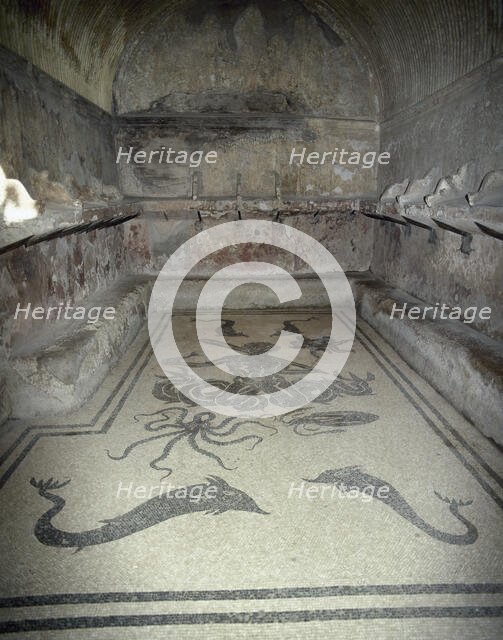 Mosaic with Triton, female tepidarium, thermal baths, Herculaneum, Italy, 2002. Creator: LTL.