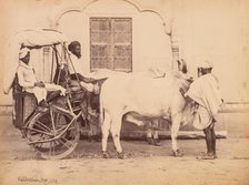 Bullock Cart, Delhi, 1863. Creator: Shepherd & Robertson (British, active Agra and Simla, 1862-1864).