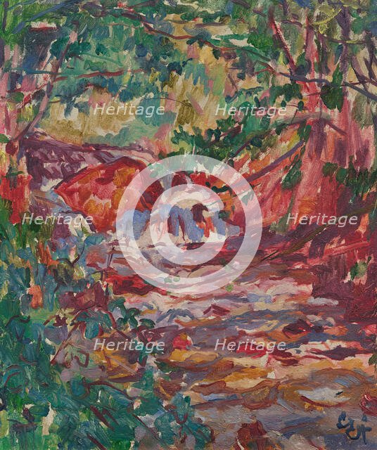 Mountain stream near Daganece, c1918. Creator: Giacometti, Giovanni (1868-1933).