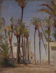 Spain (Elche), 1899. Creator: Jan Ciaglinski.