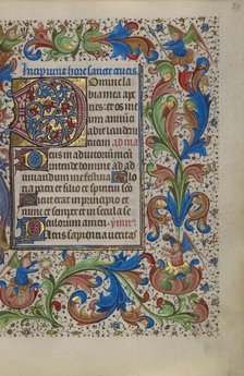 Decorated Initial D; Book of Hours, about 1450-1455. Creator: Unknown.