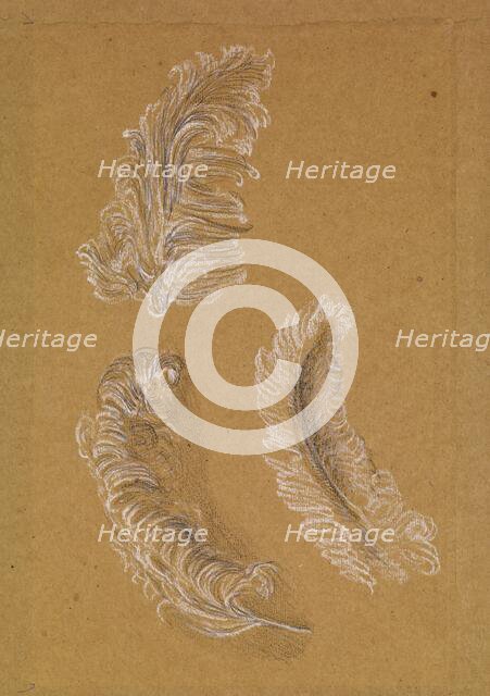 Study of Three Ostrich Feathers, 1865-67. Creator: Sir Edward Coley Burne-Jones.