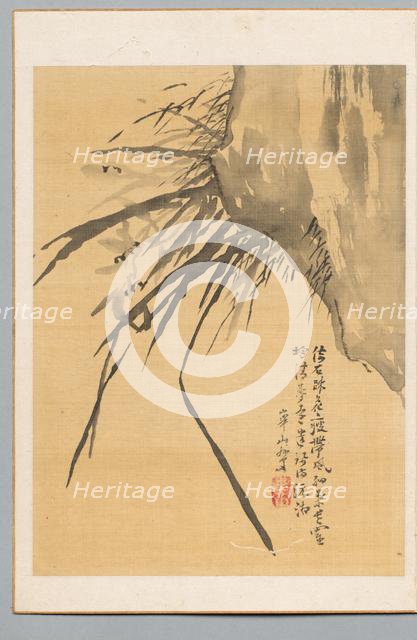 Orchid, 19th century. Creator: Watanabe Kazan (Japanese, 1793-1841).