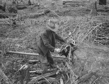 Ex-Nebraska farmer and the piece of land which he hopes..., Bonner County, Idaho, 1939. Creator: Dorothea Lange.