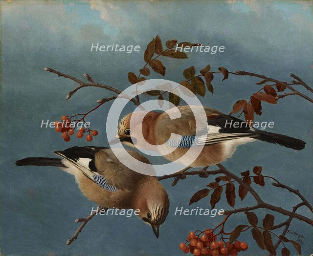 Jays, 1877. Creator: Ferdinand von Wright.