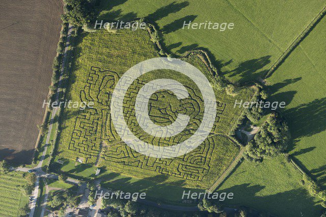 Wistow Maize Maze, Leicestershire, 2016. Artist: Damian Grady.