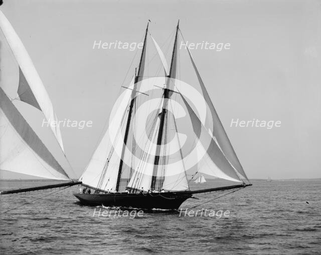 Constellation, 1900 Aug 10. Creator: Unknown.