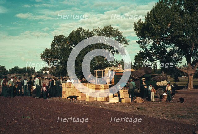 Distributing surplus commodities, St. Johns, Ariz., 1940. Creator: Russell Lee.
