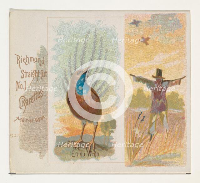 Emeu Wren, from the Song Birds of the World series (N42) for Allen & Ginter Cigarettes, 1890. Creator: Allen & Ginter.