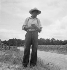 Untitled, 1935-1942. [African-American man near a field of corn]. Creator: Unknown.