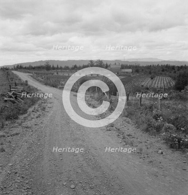 Another cut-over farm located across the road from Kytta place, Michigan Hill, Washington, 1939. Creator: Dorothea Lange.
