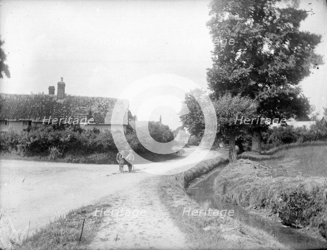 Small boy and a donkey on a road leading into Chalgrove, Oxfordshire, c1860-c1922.  Artist: Henry Taunt