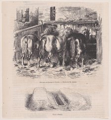 Chevaux percherons à l'écurie; Fosse à fumier; from Magasin Pittoresque, ca. 1852., ca. 1852. Creator: Charles Emile Jacque.