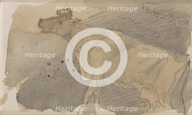 Cow, 1864-1880. Creator: Johannes Tavenraat.