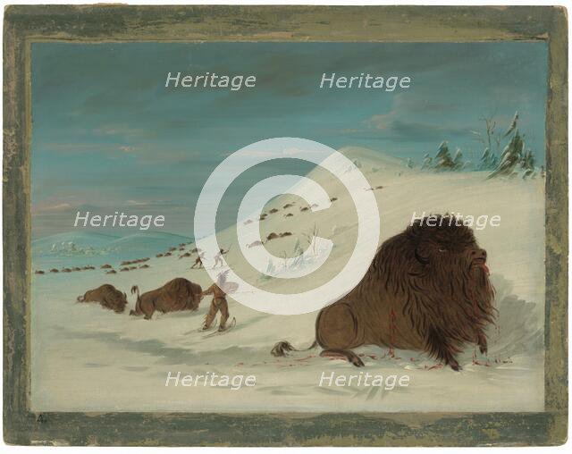 Buffalo Lancing in the Snow Drifts - Sioux, 1861/1869. Creator: George Catlin.