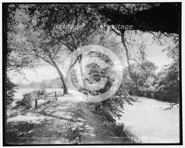 By the Swannanoa, Asheville, N.C., c1902. Creator: William H. Jackson.