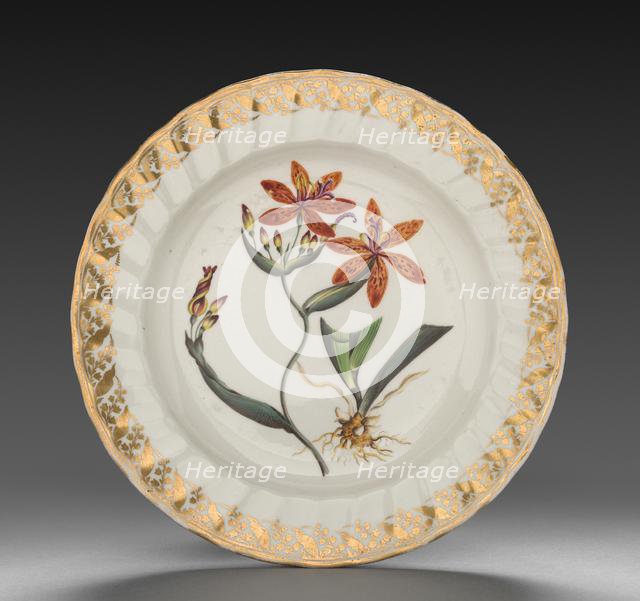 Plate from Dessert Service: Chinese Ixia, c. 1800. Creator: Derby (Crown Derby Period) (British).