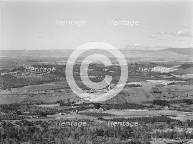 Possibly: Looking down on part of the Valley, approximately six miles from Yakima, Washington, 1939. Creator: Dorothea Lange.