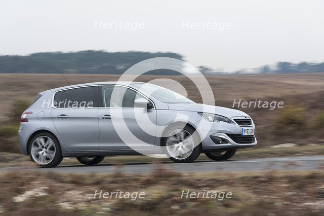 2014 Peugeot 308 THP 156 Feline Artist: Unknown.