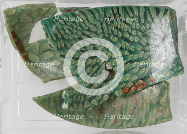 Glass Fragments, Coptic, 4th-early 5th century. Creator: Unknown.