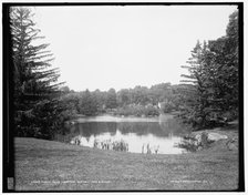 Forest Hills Cemetery, Boston, Lake Hibiscus, between 1890 and 1901. Creator: Unknown.